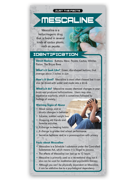 Just the Facts Rack Card: Mescaline